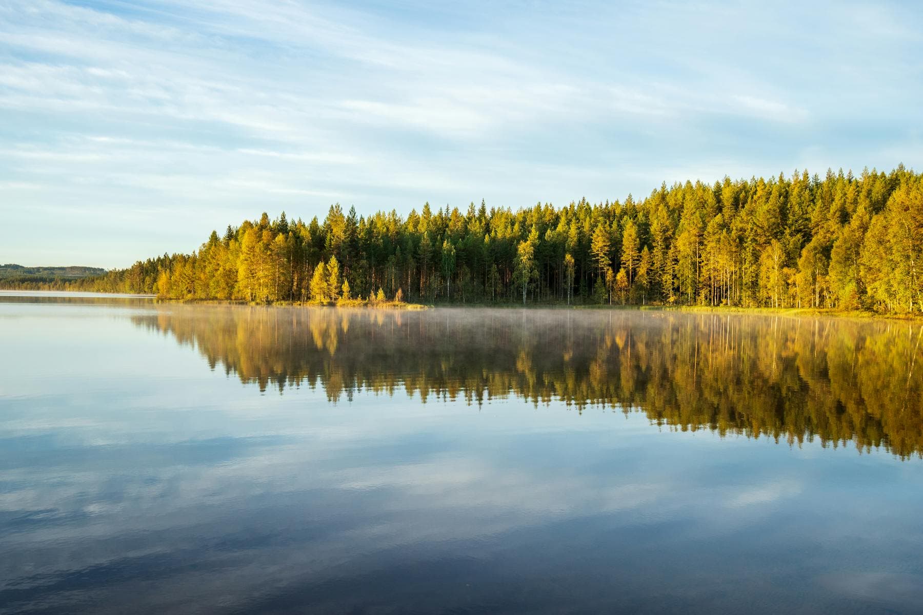 A still lake holding the reflection of an autumn forest at dawn